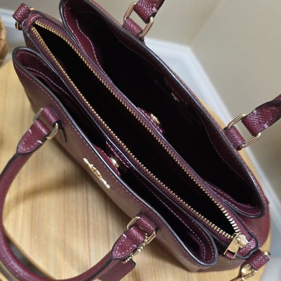 Coach Mini Sage Carryall and Wallet Set - Picture 10 of 14